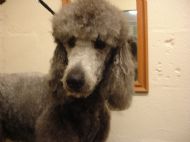 Fred , after